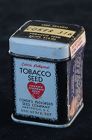 Tobacco seeds